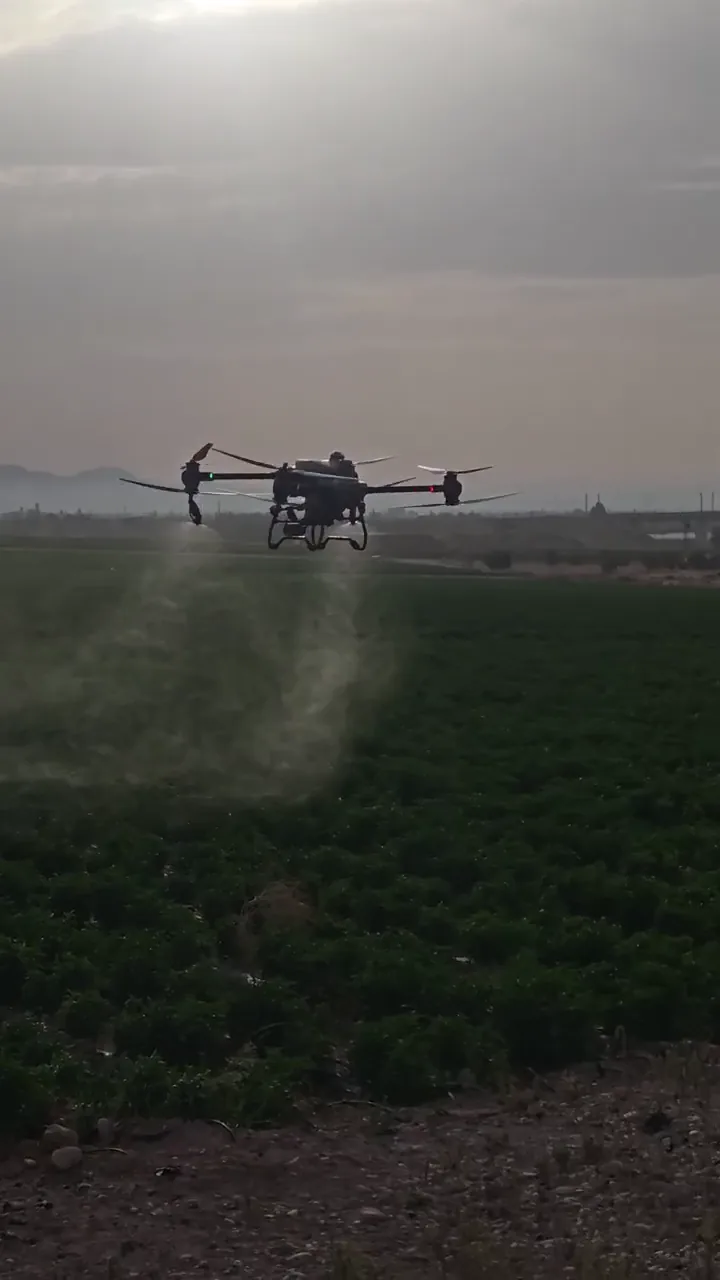 Casos reales de tratamientos con dron 2 Pulverización agrícola con dron sobre cultivo de pimiento