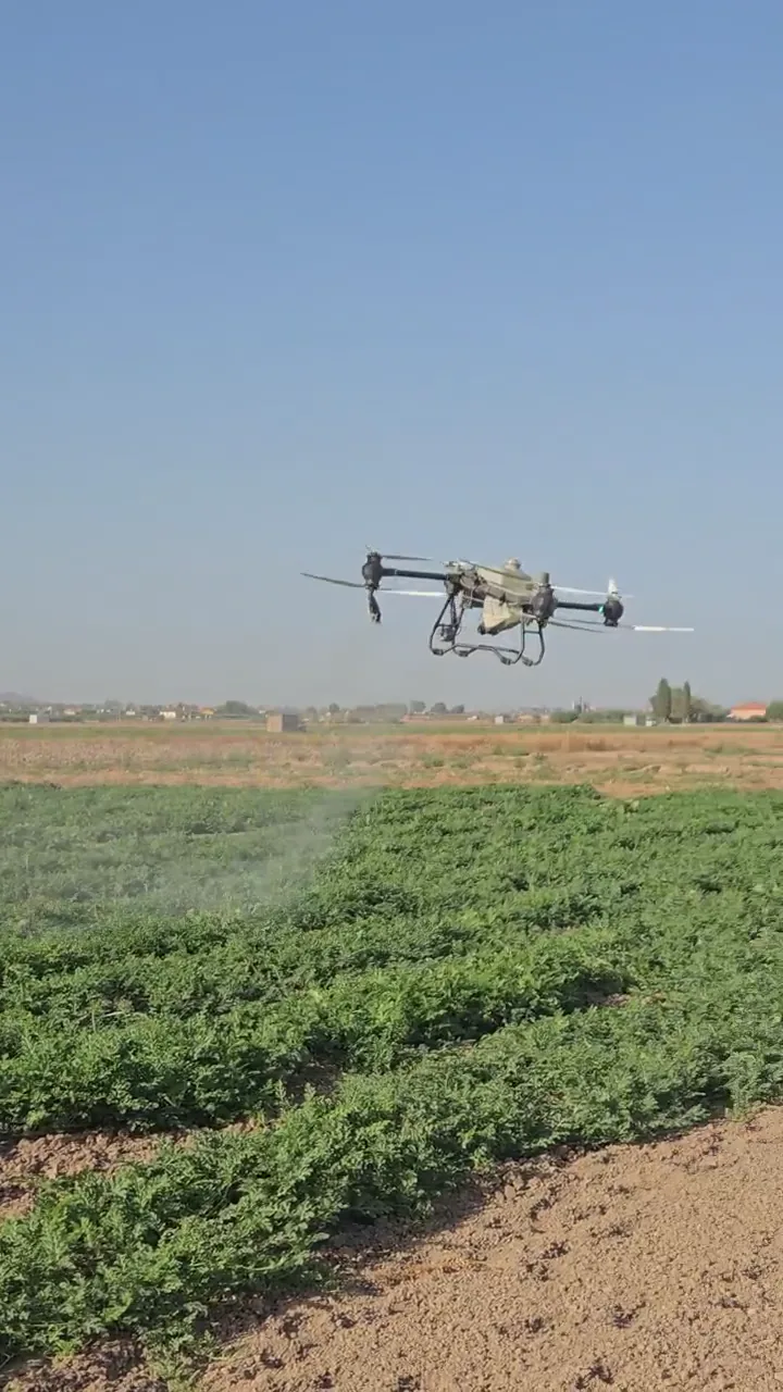Casos reales de tratamientos con dron 3 Pulverización agrícola con dron sobre cultivo de sandía